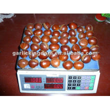 40-50pcs/kg fresh chestnut